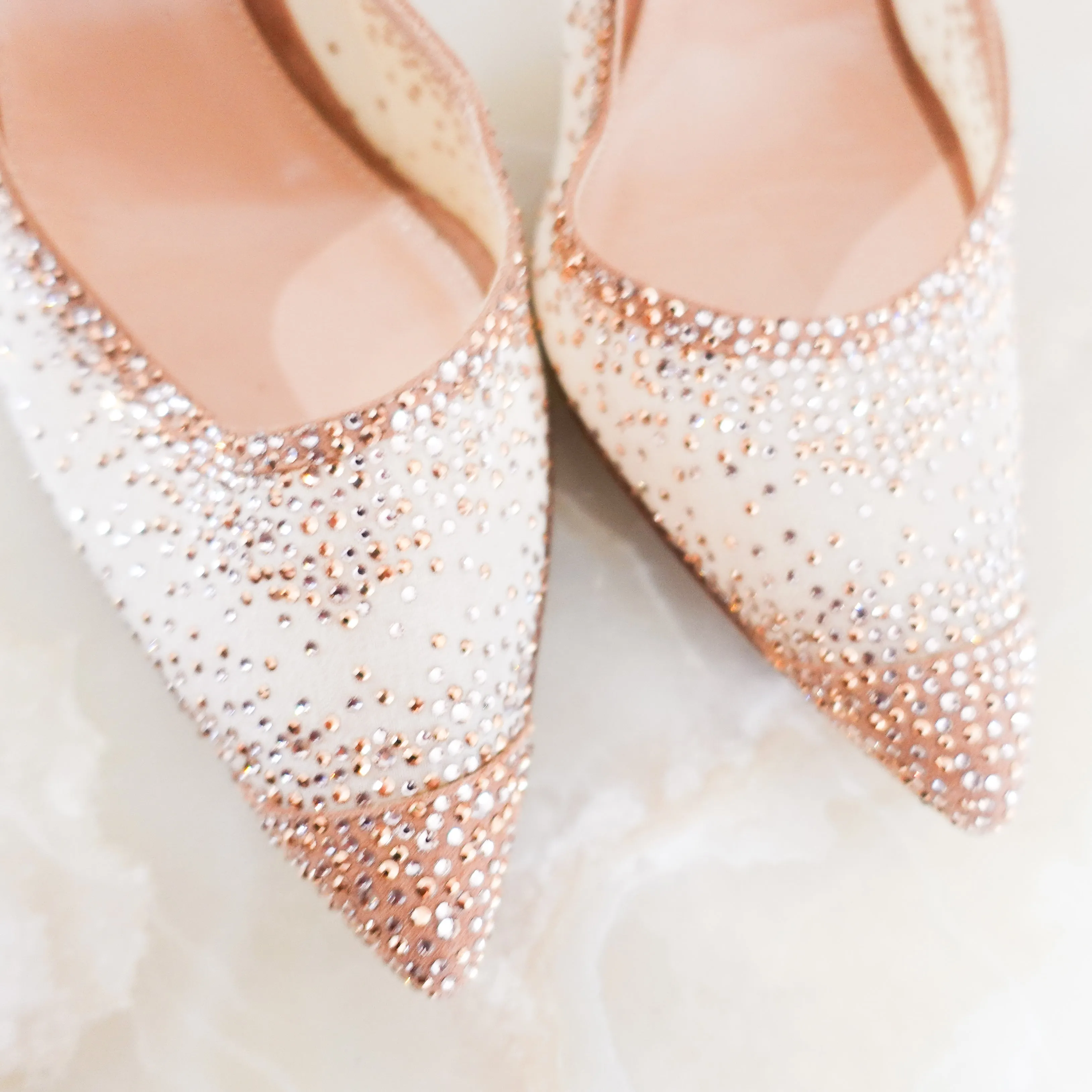 Crystal Embellished Rania Pumps 105  RRP £2.1K